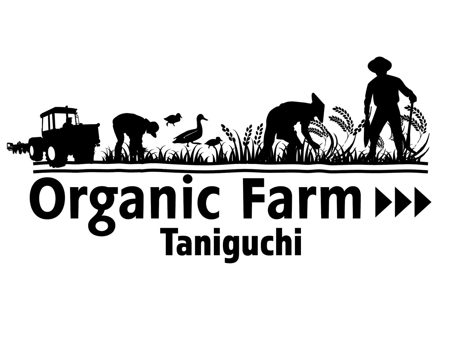 【年6回定期購入】たにぐちのアイガモ米 年間12kg(2㎏×6回)
