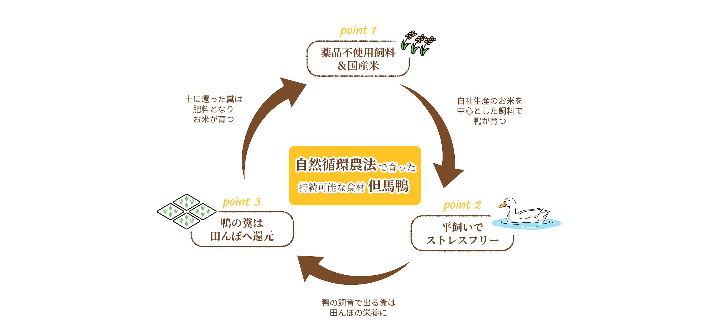 ポイント1 薬品不使用の飼料&国産米 自社生産のお米を中心とした飼料で鴨が育つ ポイント2 平飼いでストレスフリー 鴨の飼育で出る糞は田んぼの栄養に ポイント3 鴨の糞は田んぼへ還元 土に還った糞は肥料となりお米が育つ 自然循環農法で育った持続可能な食材 但馬鴨
