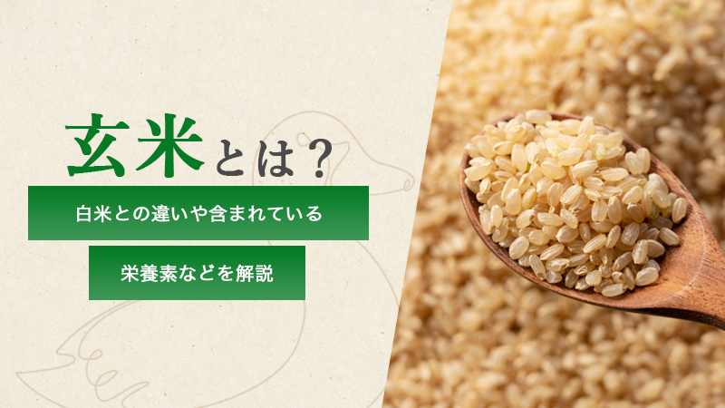玄米とは？白米との違いや含まれている栄養素などを解説