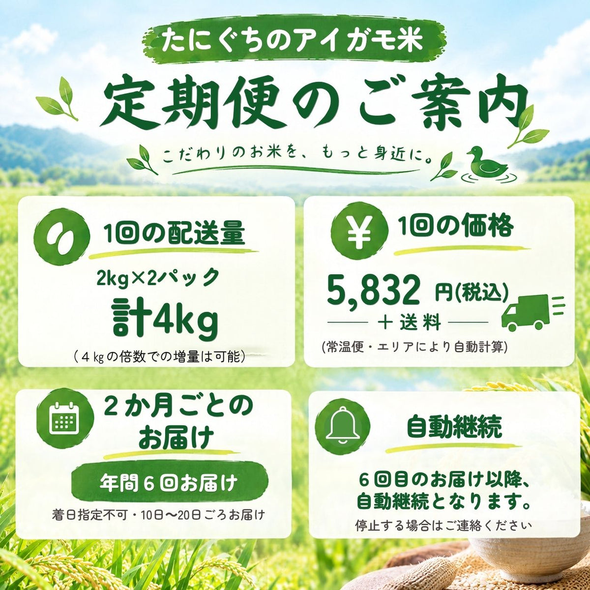 新米【2か月ごと定期購入】たにぐちのアイガモ米