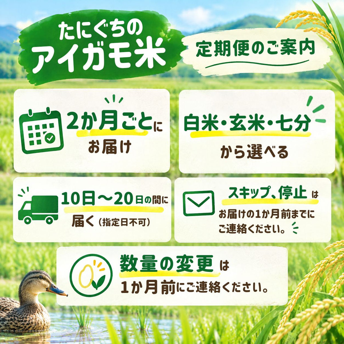 新米【2か月ごと定期購入】たにぐちのアイガモ米