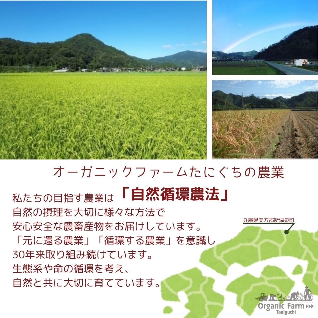 無添加・国産の白もち｜昔ながらの杵つきで香りとコシ抜群 – 鴨肉・鴨