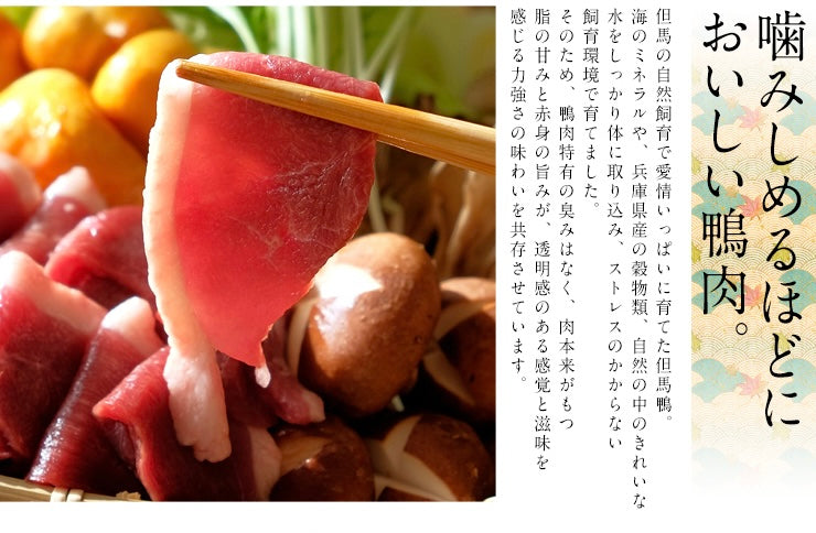 【送料無料】但馬鴨鍋セット　出石そば付き（小・中・大）