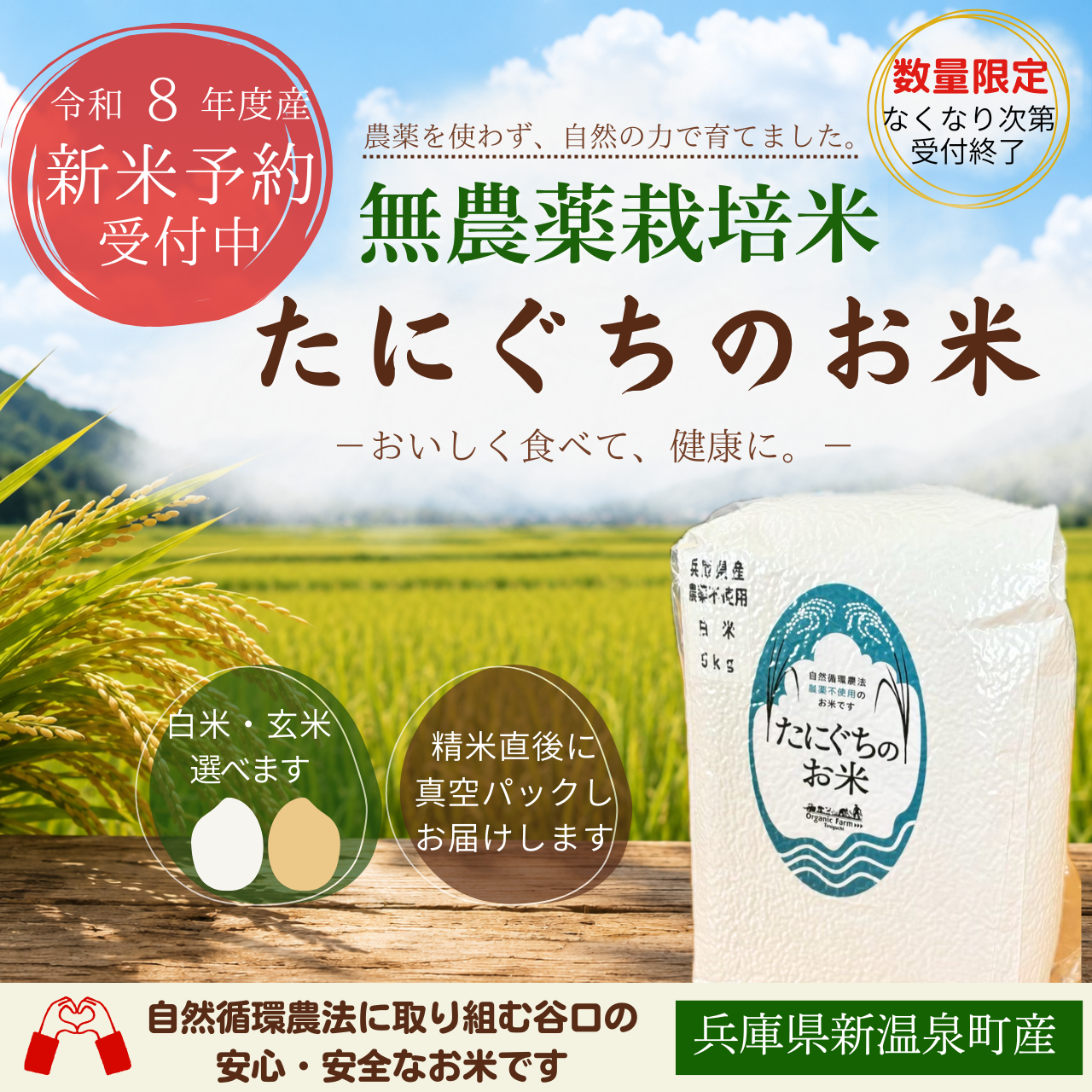 【新米予約】たにぐちのお米（農薬不使用栽培米）５㎏（白米・玄米）
