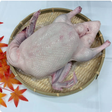 丸体