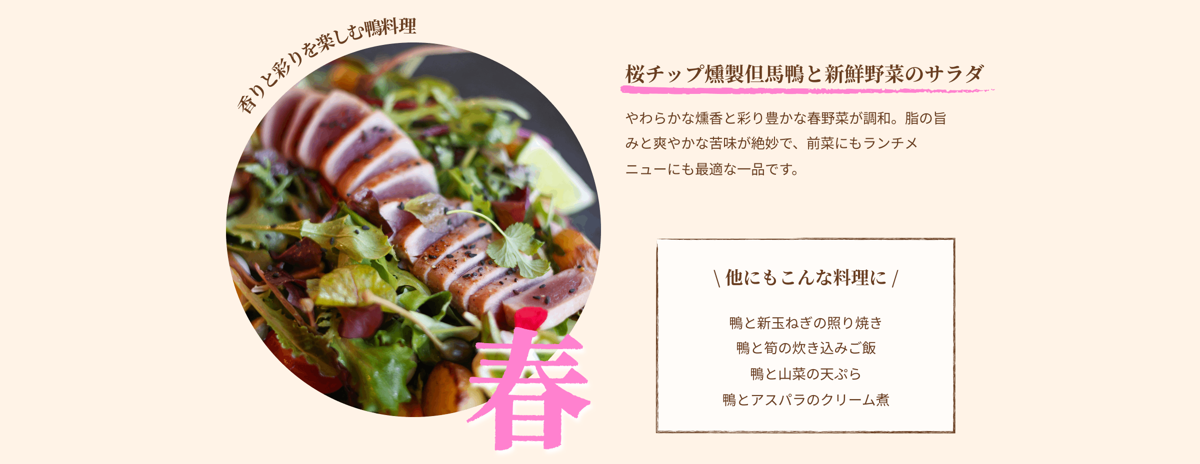 春 香りと彩りを楽しむ鴨料理 桜チップ燻製但馬鴨と新鮮野菜のサラダ やわらかな燻香と彩り豊かな春野菜が調和。脂の旨みと爽やかな苦味が絶妙で、前菜にもランチメニューにも最適な一品です。他にもこんな料理に 鴨と新玉ねぎの照り焼き 鴨と筍の炊き込みご飯 鴨と山菜の天ぷら 鴨とアスパラのクリーム煮