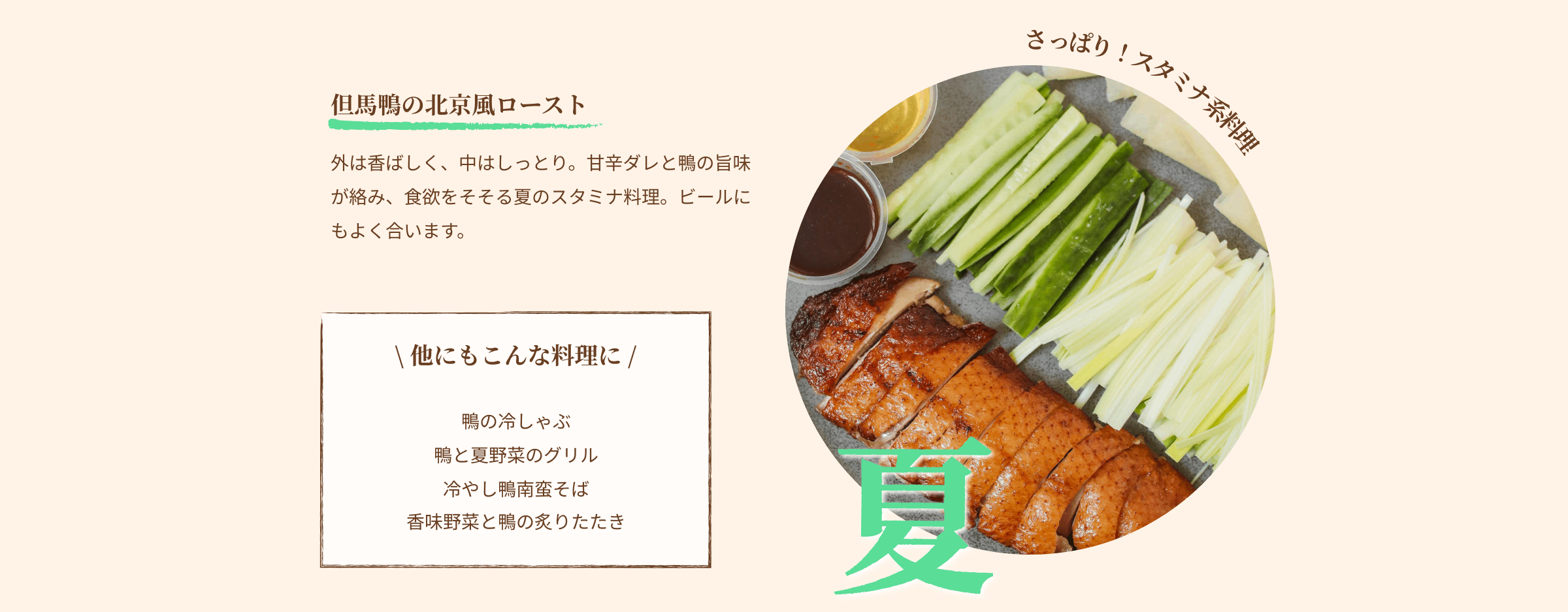 夏 さっぱり!スタミナ系料理 但馬鴨の北京風ロースト 外は香ばしく、中はしっとり。甘辛ダレと鴨の旨味が絡み、食欲をそそる夏のスタミナ料理。ビールにもよく合います。 他にもこんな料理に 鴨の冷しゃぶ 鴨と夏野菜のグリル 冷やし鴨南蛮そば 香味野菜と鴨の炙りたたき