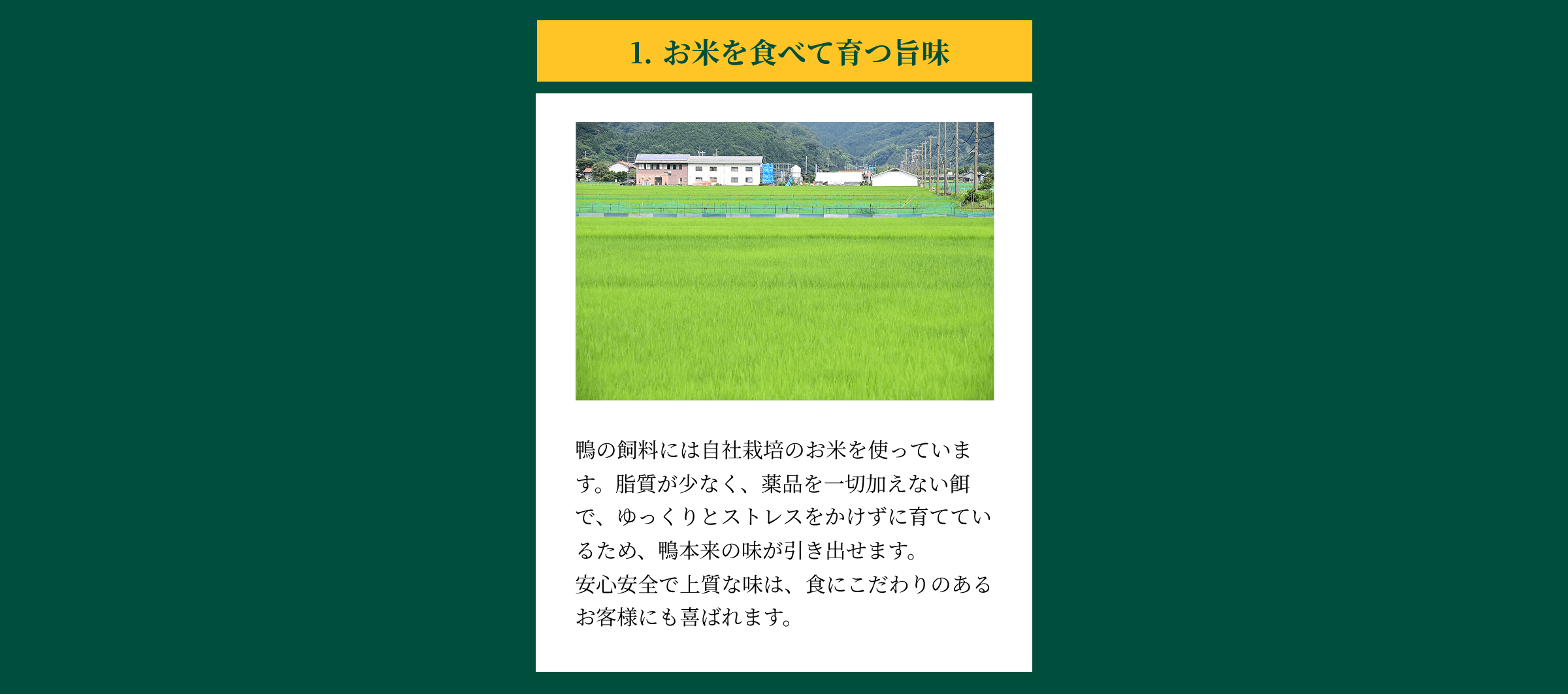 1 お米を食べて育つ旨味 鴨の飼料には自社栽培のお米を使っています。脂質が少なく、薬品を一切加えない餌で、ゆっくりとストレスをかけずに育てているため、鴨本来の味が引き出せます。安心安全で上質な味は、食にこだわりのあるお客様にも喜ばれます。