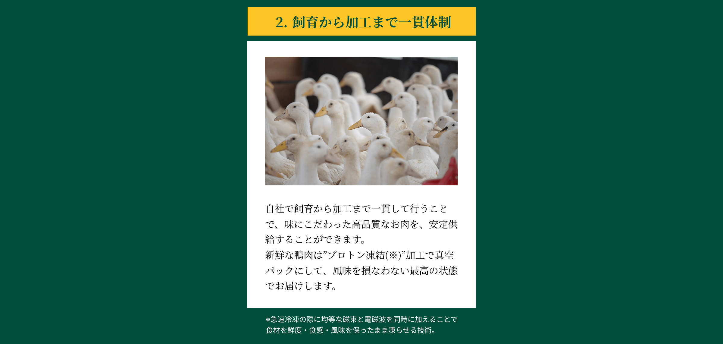 2 飼育から加工まで一貫体制 自社で飼育から加工まで一貫して行うことで、味にこだわった高品質なお肉を、安定供給することができます。新鮮な鴨肉はプロトン凍結(※)加工で真空パックにして、風味を損なわない最高の状態でお届けします。 ※急速冷凍の際に均等な磁束と電磁波を同時に加えることで食材を鮮度・食感・風味を保ったまま凍らせる技術。