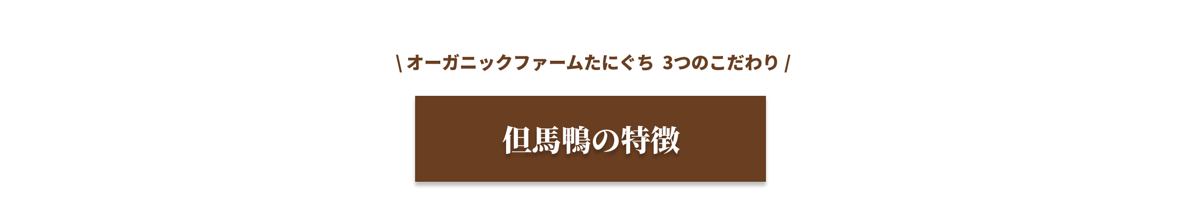 オーガニックファームたにぐち ３つのこだわり 但馬鴨の特徴